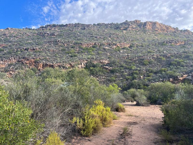 4 Bedroom Property for Sale in Clanwilliam Western Cape